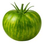Berkley Tie Dye Green