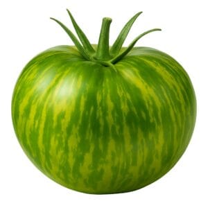 Berkley Tie Dye Green