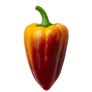 Blot Pepper