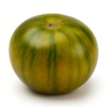 Evil Olive