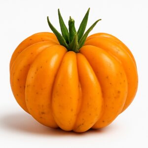 Orange Accordion