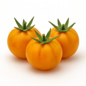 Orange Hat Micro
