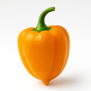 Orange Lesya