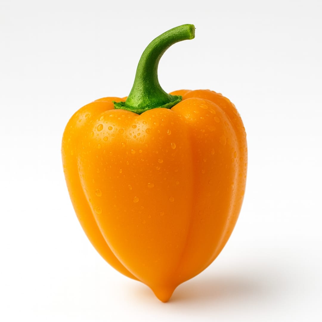 Orange Lesya