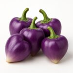 PURPLE PERFUME