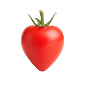 Sweetheart Cherry