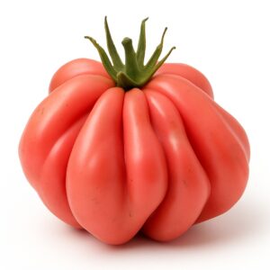 Tlacolula Pink