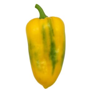Yellow Monster