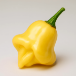 Aji Fantasy Pepper