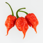 Orange Reaper