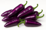 Purple Tiger Pepper