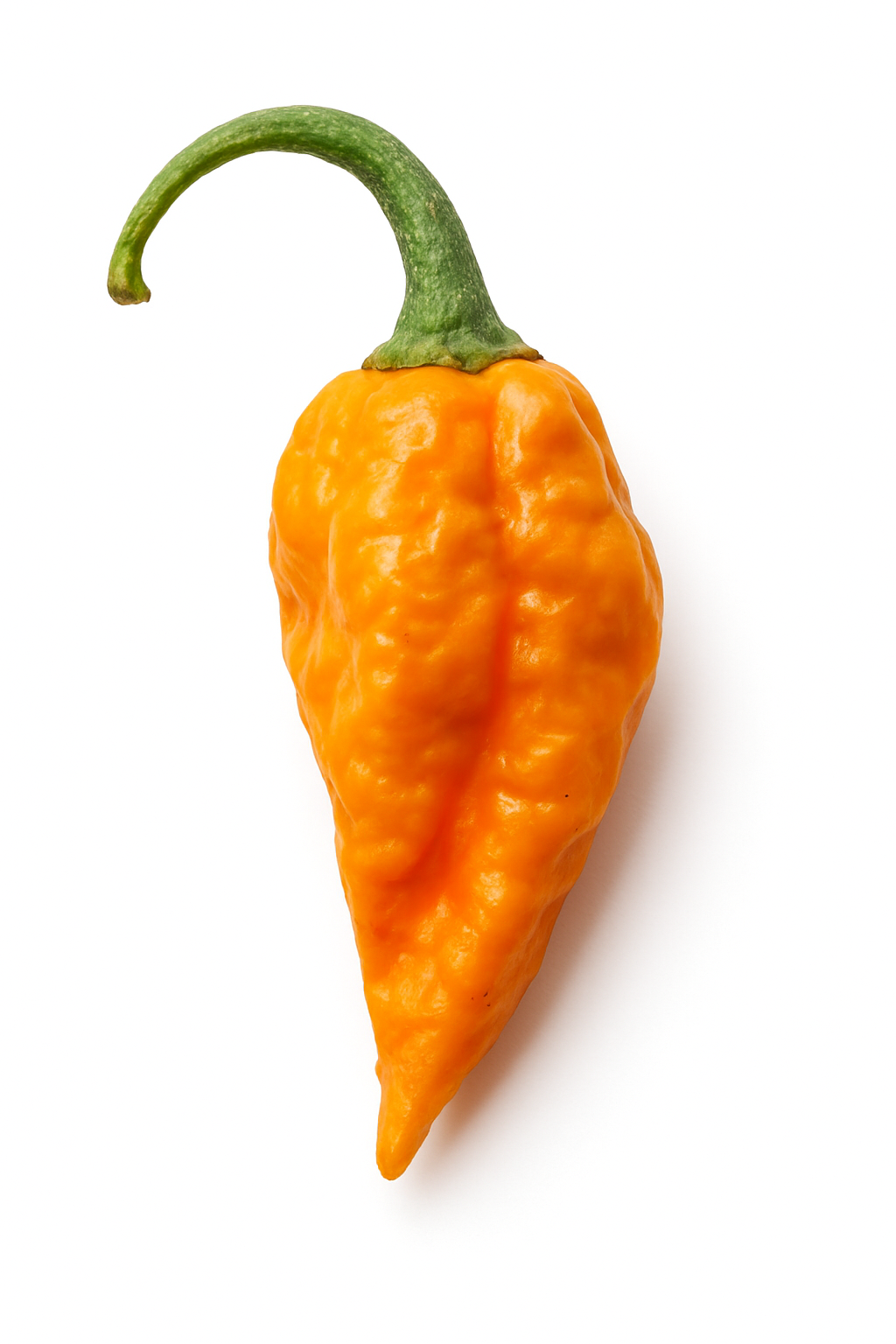 Sweet Habanada Pepper