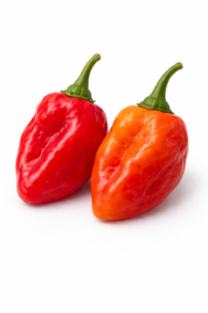 Tobago Seasoning Pepper
