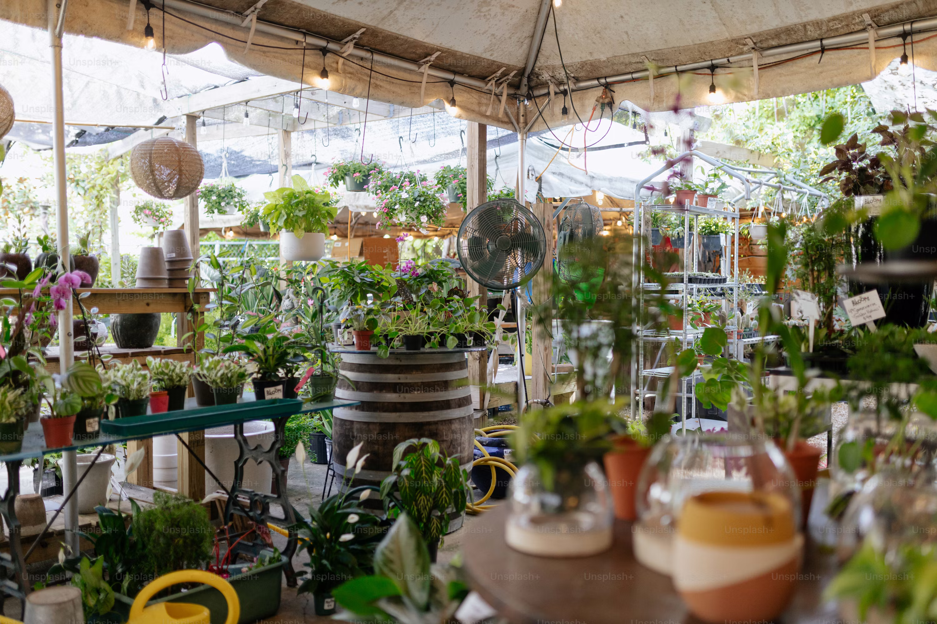 Why We Started Braggable Gardens and Why Most Garden Centers Get It Wrong