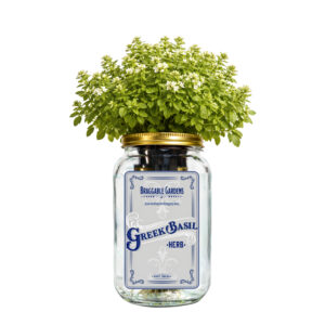 Greek Basil Indoor Herb Garden Kit