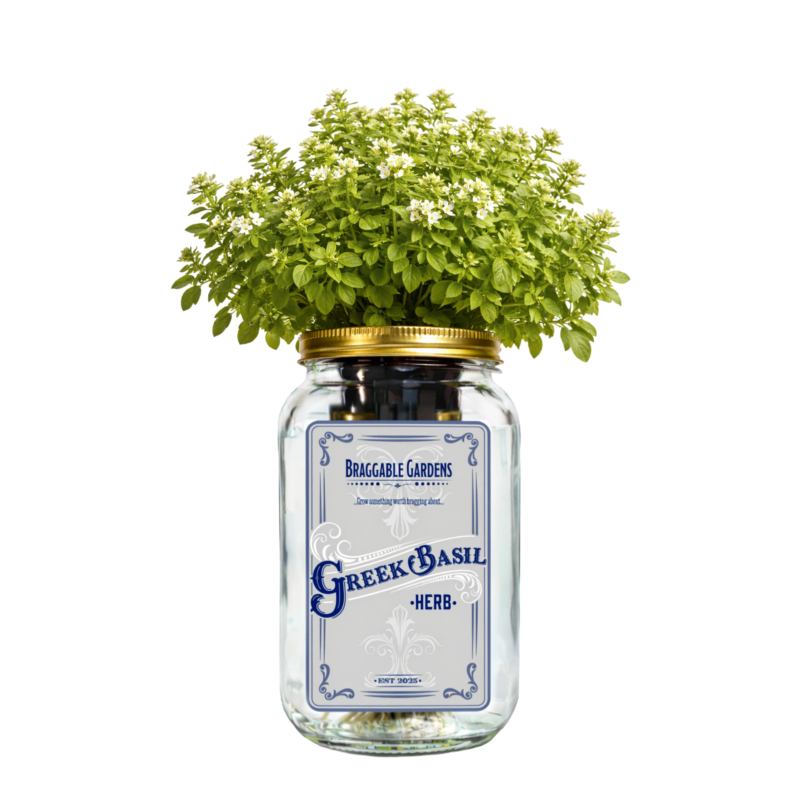 Greek Basil Indoor Herb Garden Kit