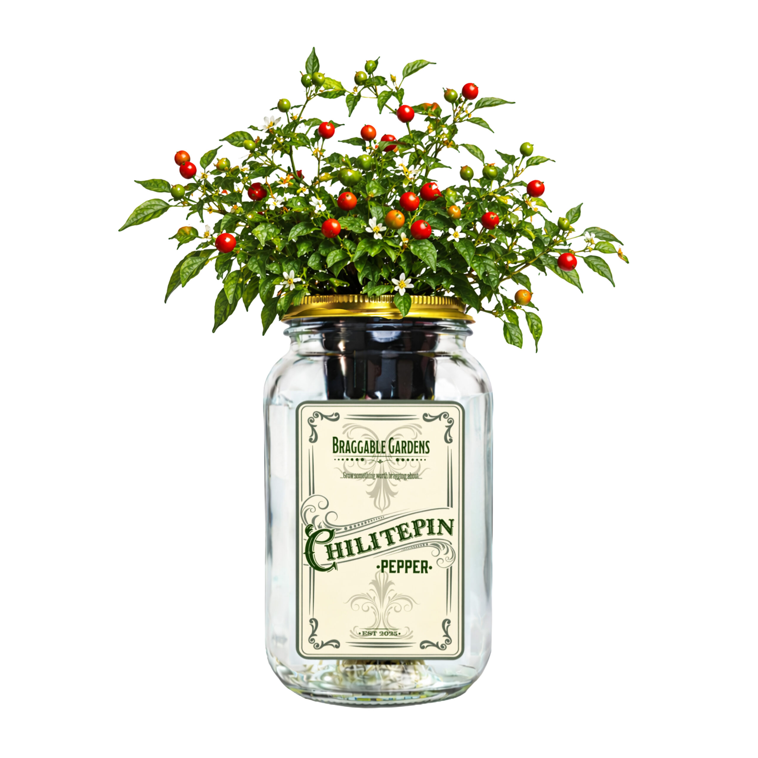 Chiltepin Pepper Indoor Garden Kit