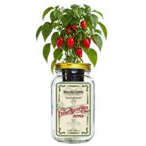 Fresh Bites Red Mini Bell Pepper Indoor Garden Kit