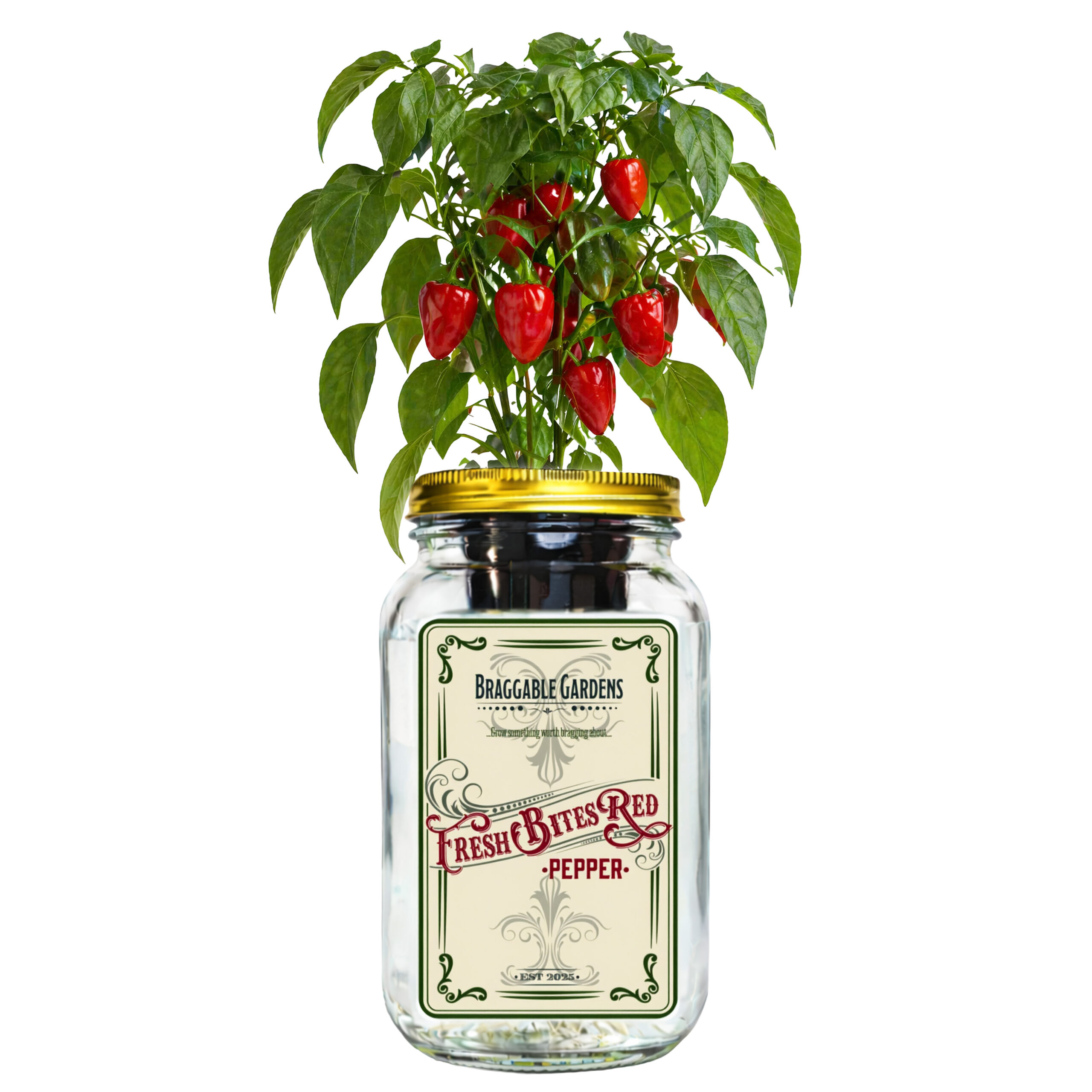 Fresh Bites Red Mini Bell Pepper Indoor Garden Kit