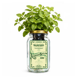 Lemon Balm Indoor Herb Garden Kit
