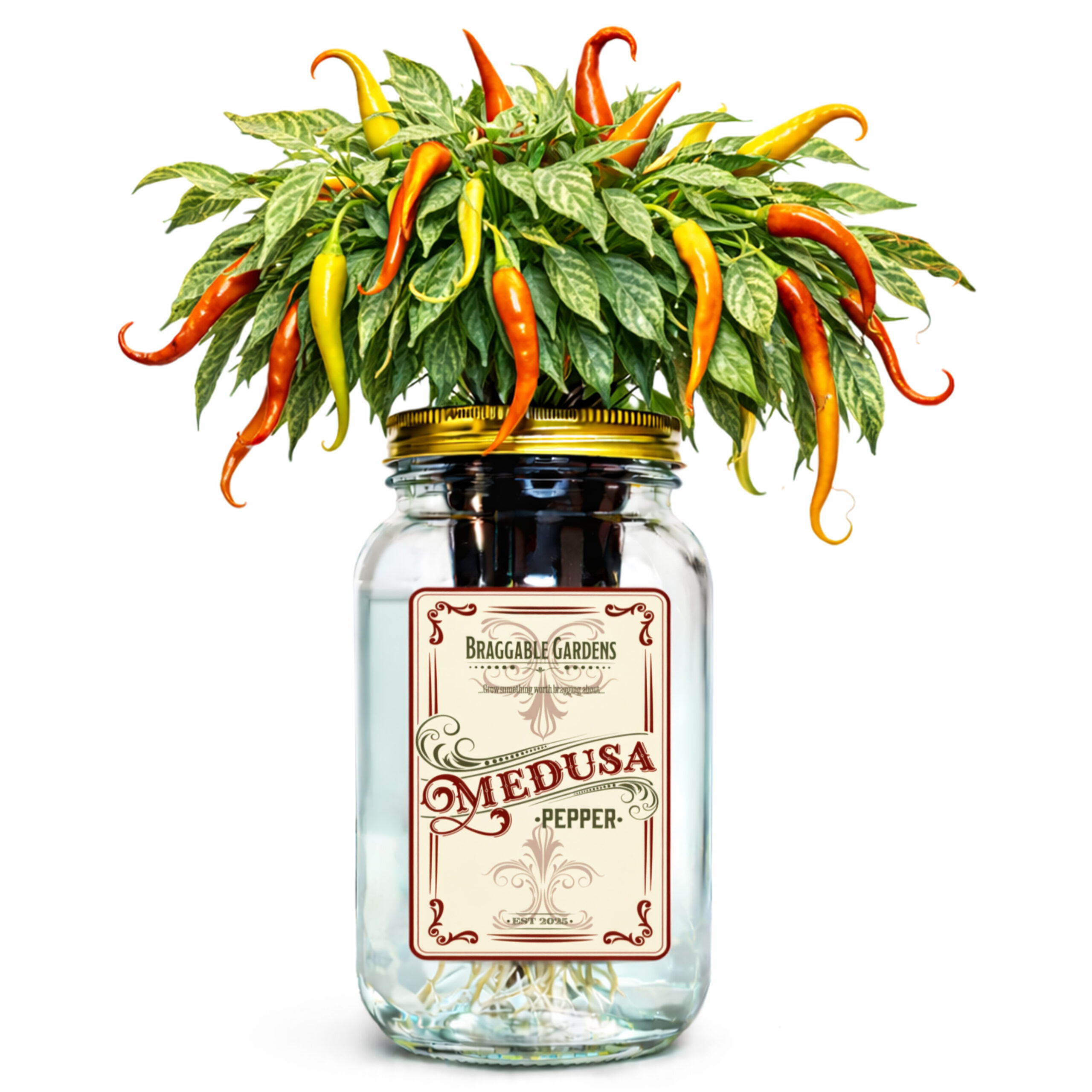 Medusa Pepper Indoor Garden Kit