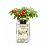 Micro Tim Cherry Tomato Indoor Garden Kit