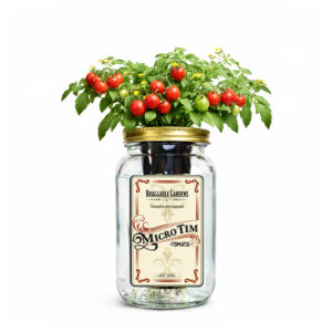 Micro Tim Cherry Tomato Indoor Garden Kit