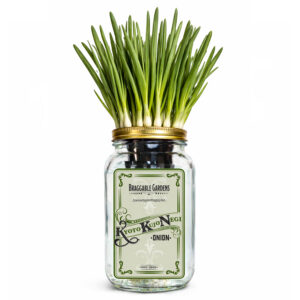 Kyoto Kujo Negi Japanese Green Onion Indoor Garden Kit