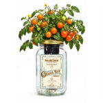 Orange Hat Micro Tomato Indoor Garden Kit