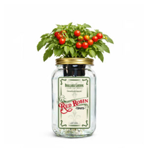 Red Robin Cherry Tomato Indoor Garden Kit