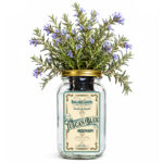 Tuscan Blue Rosemary Indoor Herb Garden Kit