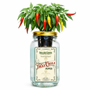 Thai Chili Pepper Grow Kit